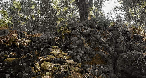 Product Image Pending for Apothic Product Image Pending for Apothic